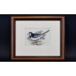 Lesley Anne Ivory (b. 1934) Original Watercolour Painting ' Pied Wagtail' A rare example by world