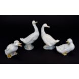 Nao by Lladro Porcelain Figures ( 4 ) In Total. ' Ducks ' Various Sizes.