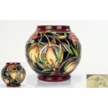 Moorcroft Modern Globular Shaped Vase ' Plevriana ' Design. Designer Rachel Bishop. Date 2004,