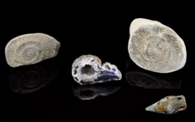A Collection Of Ammonites And Crystal Small collection to include two ammonite specimens and