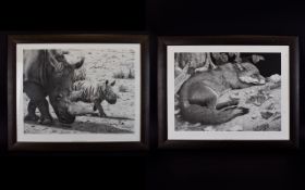 Limited Edition Artists Proof 'Shadows' By Clive Meredith Framed under glass, black and white