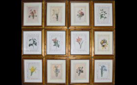 A Large Collection Of Limited Edition Botanical Prints 'The Fairest Flowers Of Pierre-Joseph Redoute