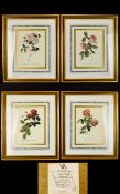A Collection Of Framed Limited Edition Botanical Prints By The Victoria And Albert Museum Four in