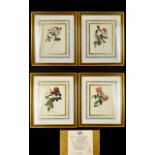 A Collection Of Framed Limited Edition Botanical Prints By The Victoria And Albert Museum Four in