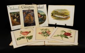 A Collection Of Botanical Plates In Original Card Folio.