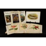 A Collection Of Botanical Plates In Original Card Folio.