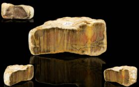 Fossilised Petrified Wood A small piece of striated petrified wood approximately 100 million - 200