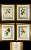 A Collection Of Framed Limited Edition Botanical Prints By The Victoria And Albert Museum Four in