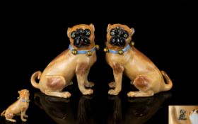 Volkstedt / Rudolf / Kammer / Kramer Pair of Top Quality Porcelain Dresden Pug Dogs with Blue