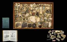 A Large Collection Of Fossils And Minerals A varied collection gathered during the latter part of