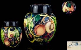 Moorcroft Large Tube lined Ovoid Shaped Lidded Ginger Vase ' Queens Choice ' Designer Emma Bossons.