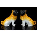 Staffordshire 19th Century Pair Of Porcelain Pug Dog Figures Each with black painted faces and tan