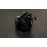 Taxidermy Interest Carrion Crow (Corvus corone) Shield Mount A small crow head on black wood