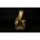 Taxidermy Interest Weasel Amongst Fungus The whole mounted on a circular wooden base, positioned