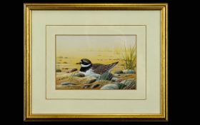 W G Rollinson Framed Original Watercolour Depicting Nesting Gull Framed and mounted under glass,