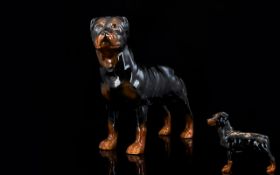 Royal Doulton Dog Figure ' Rottweiler ' Large Size, Mouth Shut and In Standing Position.
