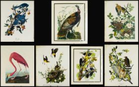 Avian Interest A Collection Of Seven Colour Plates Two mounted, five singles,