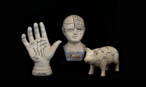 Antiqued - Collection of Ceramic Phrenology / Medical Items ( 3 ) Three In Total.