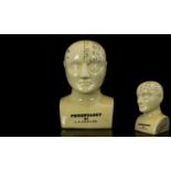 Antiqued - Ceramic Phrenology / Medical