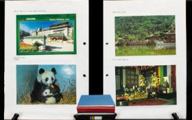 Five Postcard Albums fully arranged by subject. Includes places, china etc.