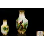 Royal Worcester Hand Painted Small Vase ' Peacock In a Woodland Setting ' Date 1910, Unsigned.