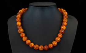 Antique Period - Natural Amber Bead Necklace of Good Form and Colour. Gold Tone Clasp. 18 Inches -