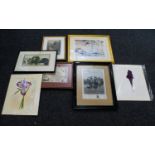 A Collection Of Prints And Etchings To include 19th century military etching, Russell Flint print,