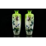 A Pair of Late 19th Century Cloissone Vases Of slim ovoid form,