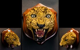 Taxidermy Interest - Leopard Head - Hunting Trophy Of A Mounted Leopard Head,