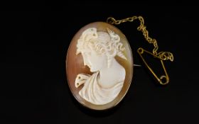 A Nice Quality Shell Cameo Depicting a Classical Bust of a Noble Lady,