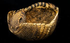 Mummified Armadillo In The Form Of A Basket - Late 19th Early 20th Century Curio.