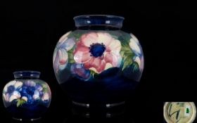 W. Moorcroft Signed - Large Globe / Bulbous Shaped Vase ' Anemone ' Design on Blue Ground. c.