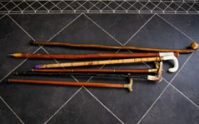 Collection Of Six Walking Canes - Various Lengths,