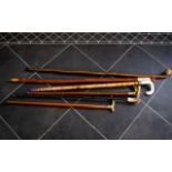 Collection Of Six Walking Canes - Various Lengths,