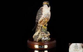 Royal Doulton - Signed Ltd and Numbered Edition Hand Painted Ceramic Bird Figure ' Peregrine Falcon