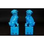 Early/Mid 20th Century Chinese Turquoise Ground Temple Dogs Two in total,