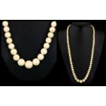 Antique - Period Long Ivory Graduated Beaded Necklace with Screw Clasp.