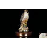 Royal Doulton - Signed Ltd and Numbered Edition Hand Painted Ceramic Bird Figure ' Peregrine Falcon