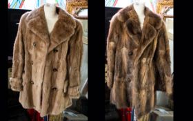 Three Fur Coats comprising 1. Musquash three quarter length jacket with polysatin lining.