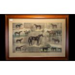 Equestrian/Horseracing Interest Framed print depicting the 'Blacklock Line Of St Simon (1881)