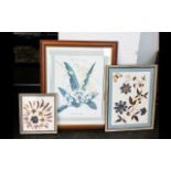 Three Framed Prints And Floral Collages to include print depicting orchids,