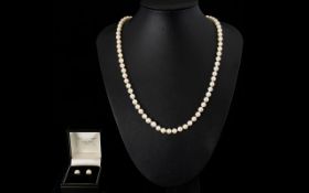 A Single Strand Cultured Pearl Necklace 6.5 mm pearls with 9ct gold clasp, 22 inches in length.