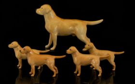 Beswick Animal Figurines ( 5 ) In Total. Large Labrador Model No 1548 and 4 Small Labrador Dogs,