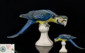 Royal Dux Bohemia Large and Impressive Porcelain Figure of a Parrot ' Macaw ',