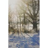 Winter Sunlight, Felbrigg Hall, photographic print by Val Sibley.