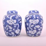 Chinese blue and white ginger jar, bearing Daoguang four character mark, decorated with blossom,