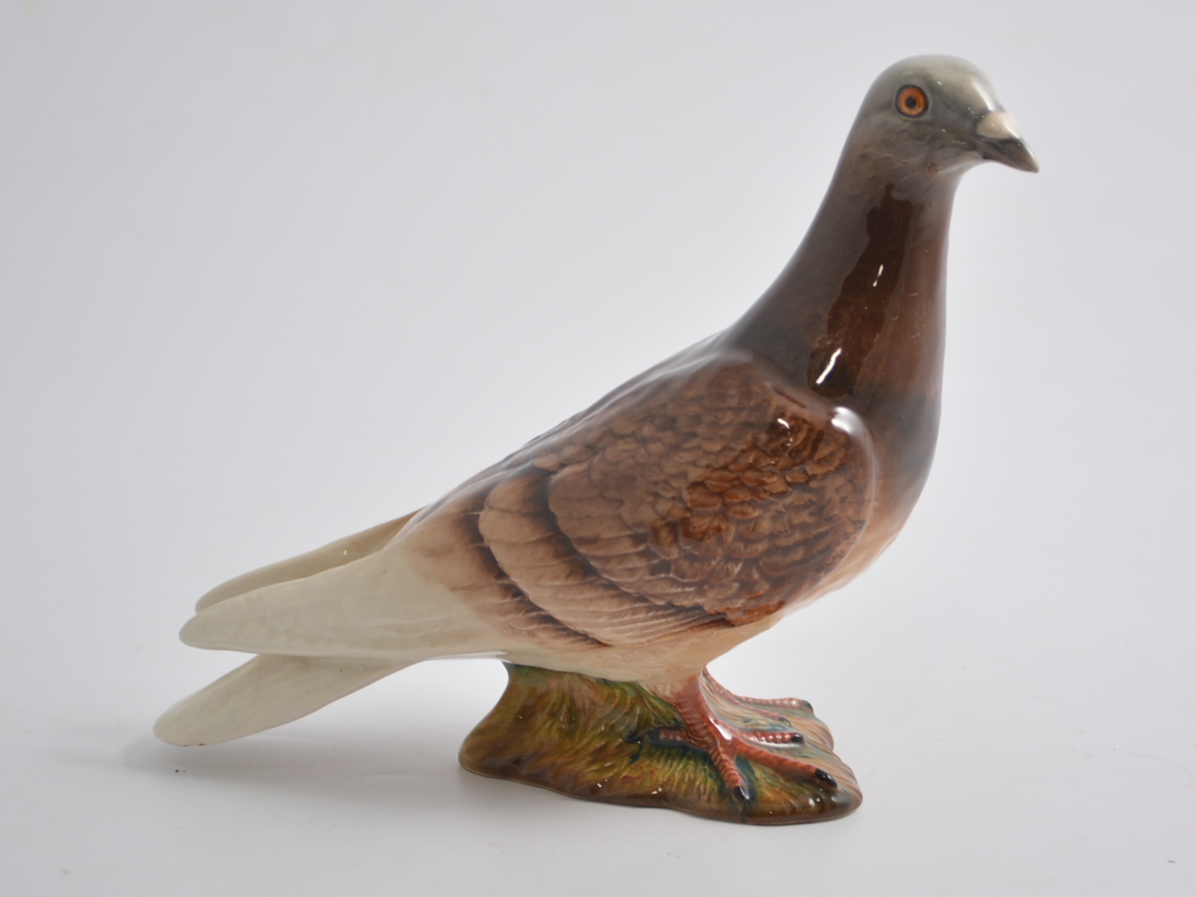 Beswick pigeon,