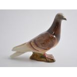 Beswick pigeon,