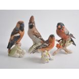 Goebel Pottery bird models, including - Hawfinch, Bullfinch, Nuthatch, Silver Gull, Robin,