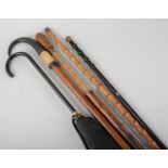 Collection of walking-sticks, shooting-sticks, etc.